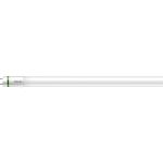 Philips MASTER LED Tube T8 (EM/Mains) Ultra Efficiency 17.6W 3700lm - 865 Daglicht | 150cm - Vervangt 58W