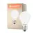 Ledvance Classic LED E27 Peer Filament Mat 7.2W 1521lm - 827 Zeer Warm Wit | Vervangt 100W