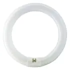 Osram T9 Lumilux Circline 32W - 840 Koel Wit | 30cm
